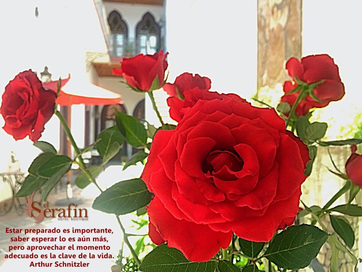 El Serafin Hotel Boutique Querétaro Εξωτερικό φωτογραφία